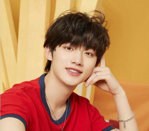 娱乐吃瓜酱丁程鑫,娱乐吃瓜界的“酱丁”传奇