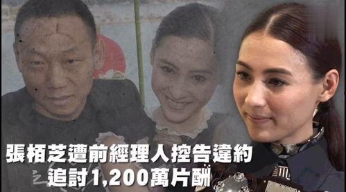 看娱乐吃瓜,揭秘明星幕后故事